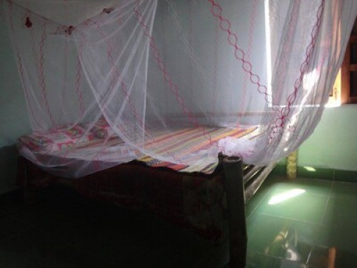 Enjoy your homestay near Hoi An! - Gallery - 6