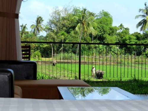 Travel loving host Hoi An