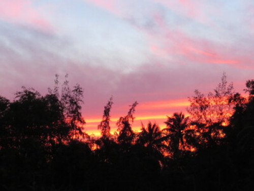 Travel loving host Hoi An