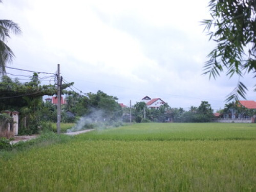 Rock Villa