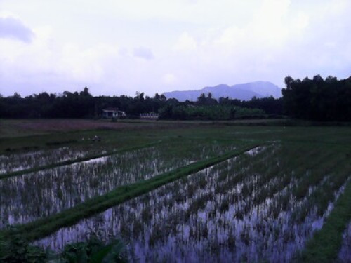  Coco Bungalows Hoi An Homestay  - Gallery - 26