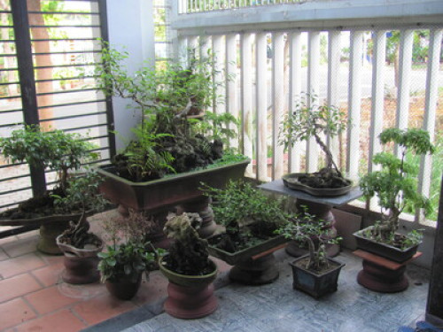 Homestay  next to Airport - Gallery - 19
