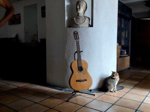 coffee smell house - Gallery - 6