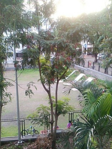 Home stay