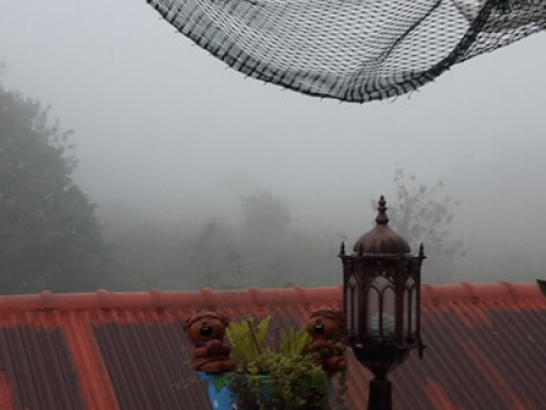 Chiang Mai nature, writers' corner. - Gallery - 69