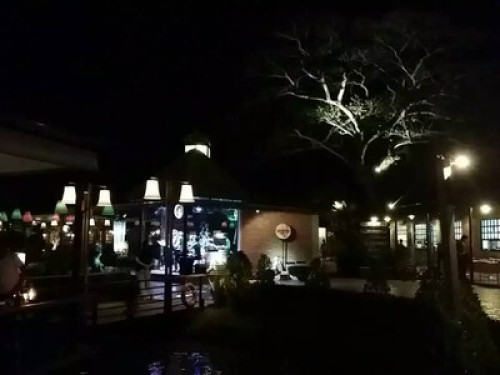 Chiang Mai nature, writers' corner. - Gallery - 14