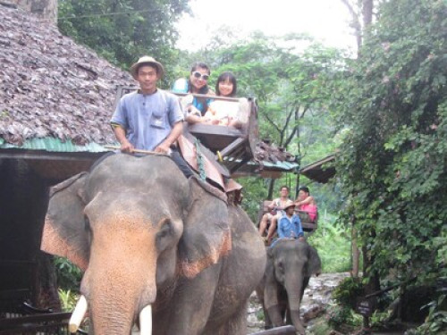 Chiang Mai nature, writers' corner. - Gallery - 13