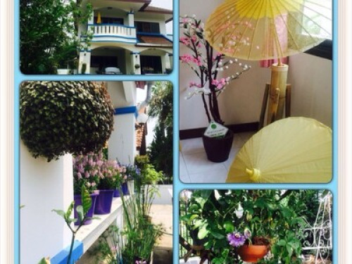 Chiang Mai nature, writers' corner. - Gallery - 43