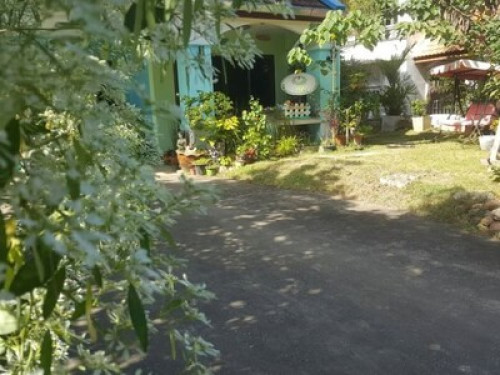 Chiang Mai nature, writers' corner. - Gallery - 44