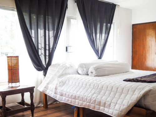 Living in the forest in Chiang Mai