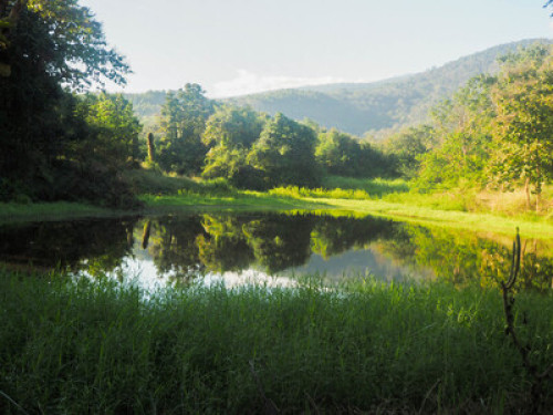 Living in the forest in Chiang Mai - Gallery - 9