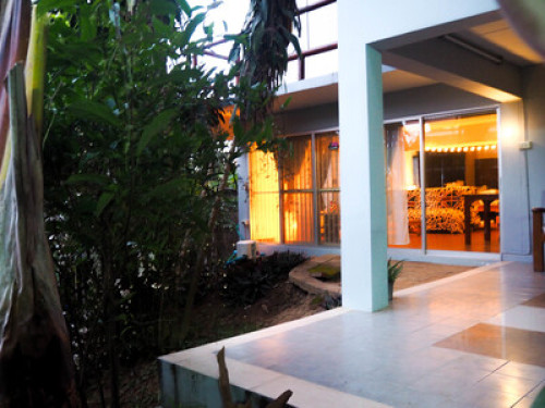 Living in the forest in Chiang Mai