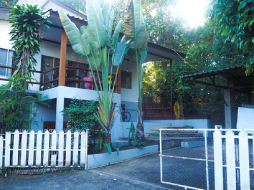 Living in the forest in Chiang Mai