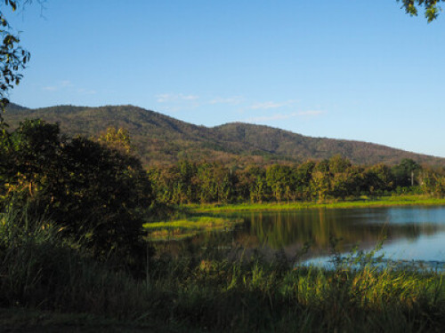 Living in the forest in Chiang Mai - Gallery - 10