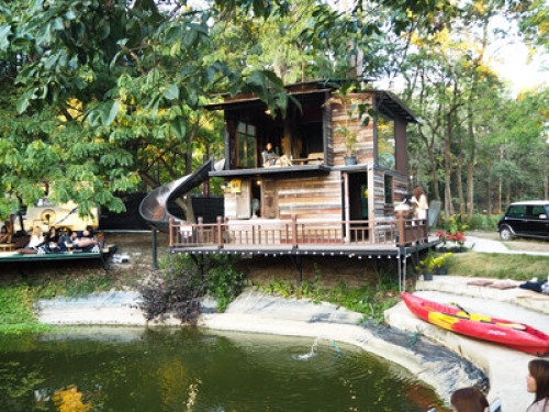 Living in the forest in Chiang Mai - Gallery - 11