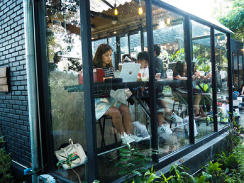 Living in the forest in Chiang Mai