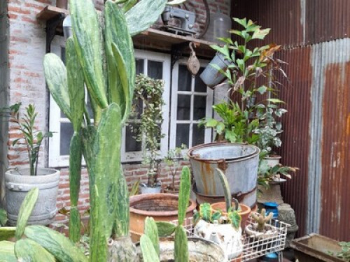 Patan Lanna Homestay - Gallery - 22