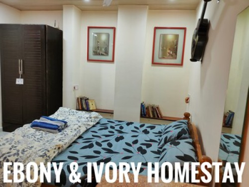 Comfy Ebony Room - Gallery - 16