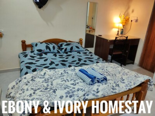Comfy Ebony Room - Gallery - 18