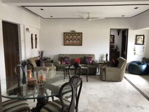 Cozy 1 bedroom and parking