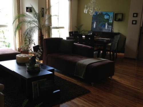 Gorgeous room in Mexico City