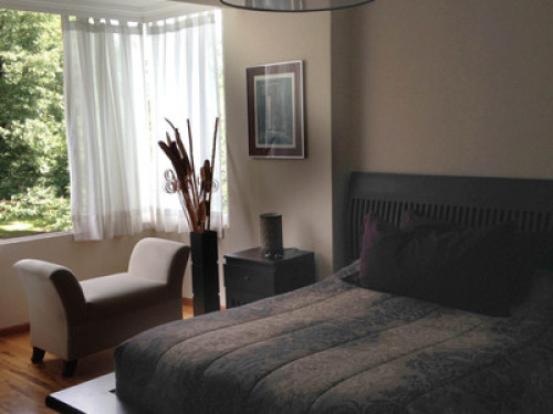 Gorgeous room in Mexico City