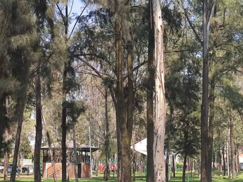 4 Nice and big rooms south of CDMX