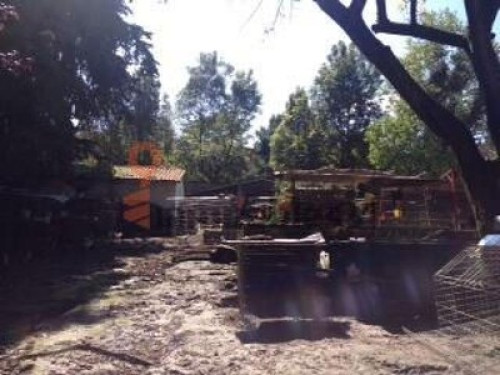 Family authentic Mexico City  - Gallery -  5