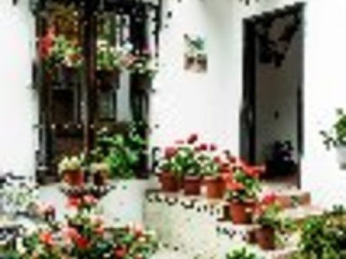 Colonial charm in good old Coyoacan
