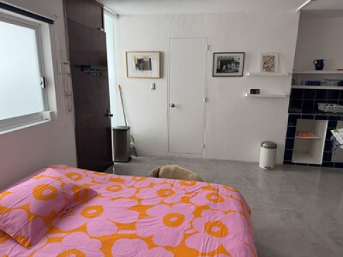 Artists home, warm inviting - Gallery - 13