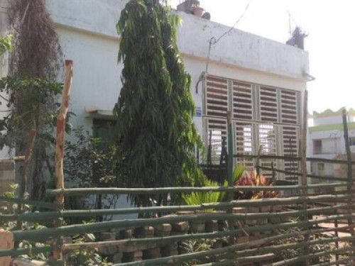 AIIMS Nagar Homestay