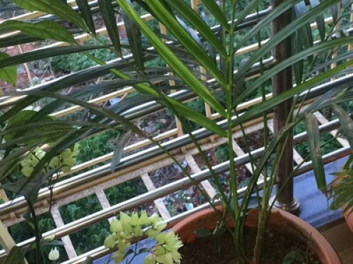 A boutique abode in a friendly home