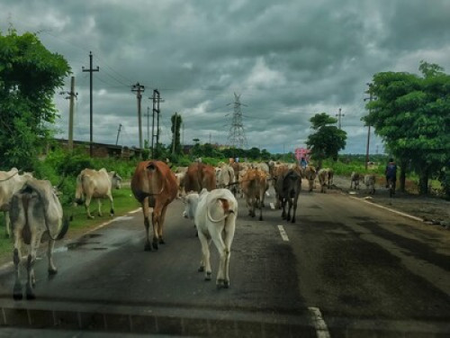 Svanir Homestay, Bhubaneswar  - Gallery - 13