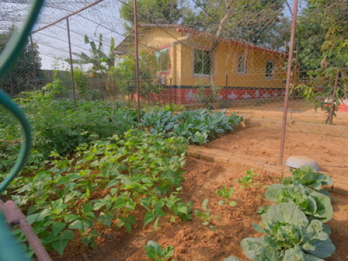 Svanir Homestay, Bhubaneswar  - Gallery - 21