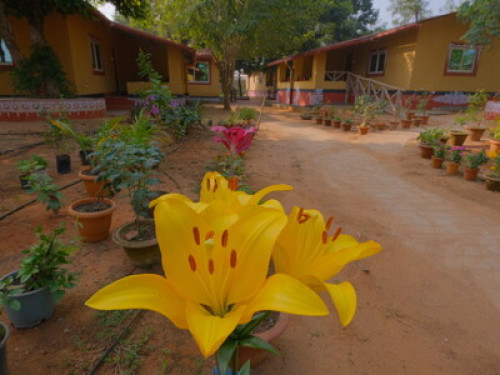 Svanir Homestay, Bhubaneswar  - Gallery - 22