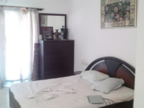 Doctor family in central chennai