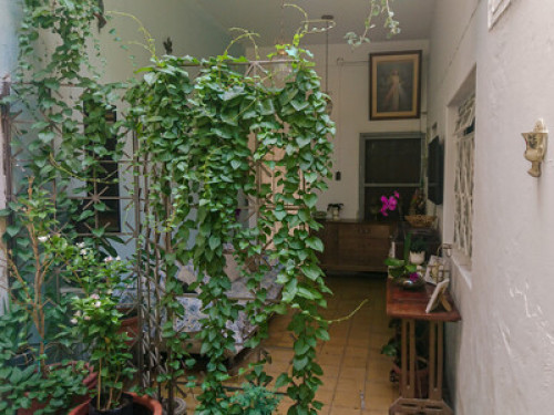Private Room vintaghom West downtow