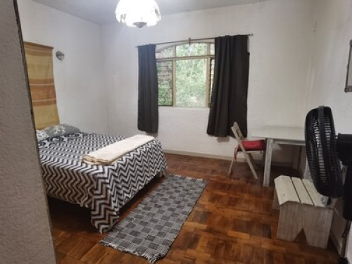 The Turtles' Lair  - Gallery -  5