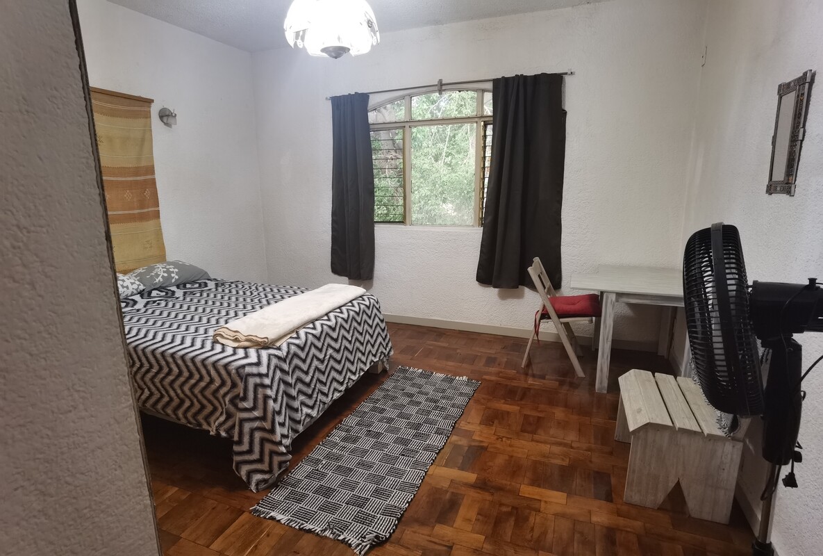 The One With The Little Monkeys(Single Bed) - 1