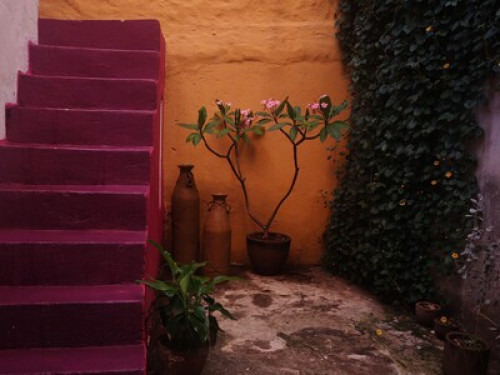 Available room. Moringa House - Gallery - 17