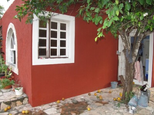 Writer and cook in Merida Yucatan. - Gallery - 6