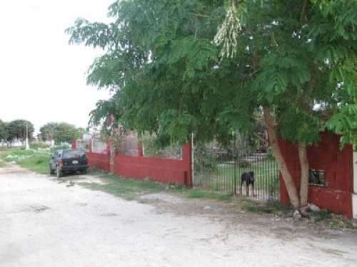 Escritor y cocinero en Mérida Yuc.