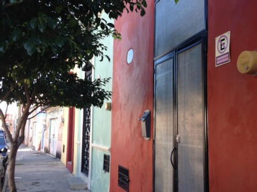 Yucatecan American family in Centro - Gallery - 9