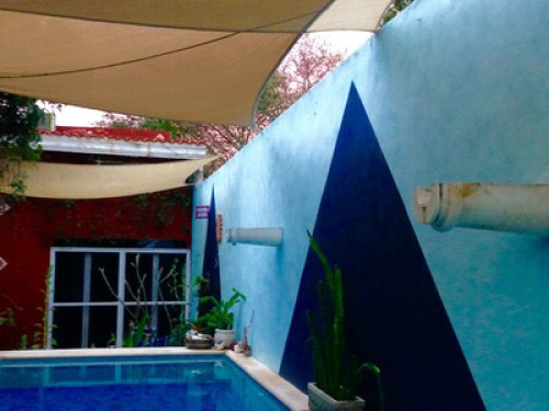 Yucatecan American family in Centro - Gallery - 10