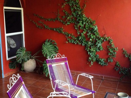 Yucatecan American family in Centro