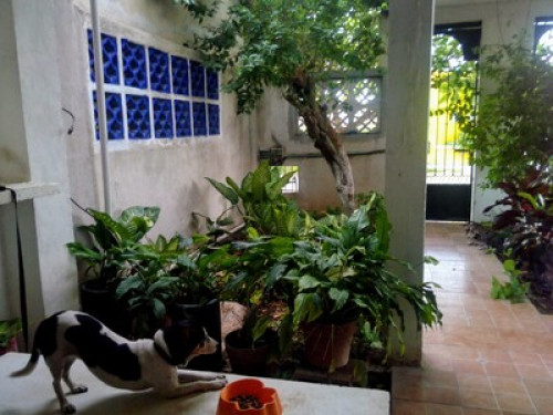 One bedroom for 2 people in Merida. - Gallery - 24
