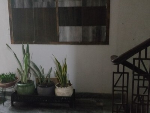Cozy and Close to IGI Airport - Gallery - 10