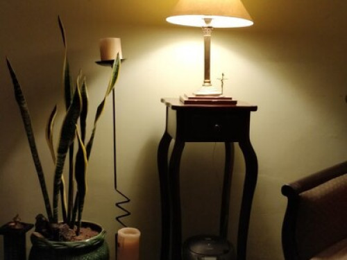 Cozy and Close to IGI Airport  - Gallery -  5