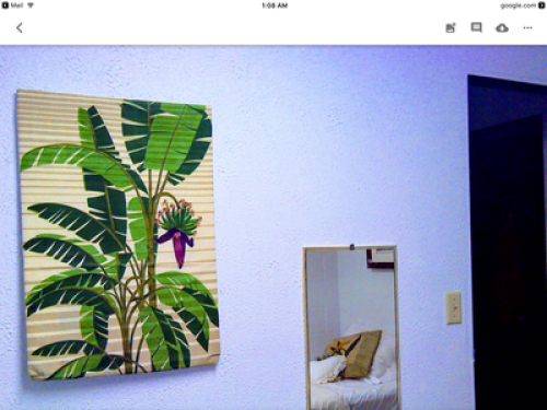 Close to Waikiki beach, language sc