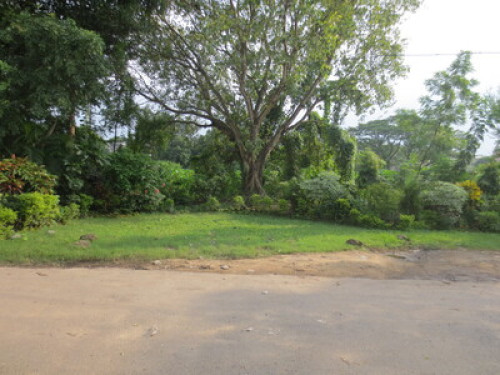  2 bedroom flat with satellite TV,washing machine,wifi & cooking facilities  - Gallery -  5